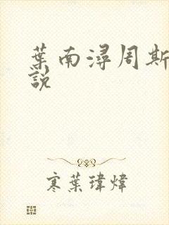 叶南浔周斯年小说