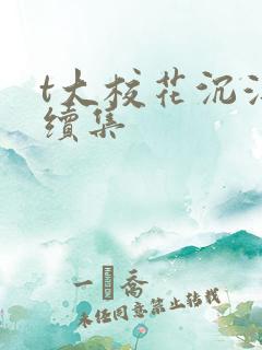 t大校花沉浮录续集