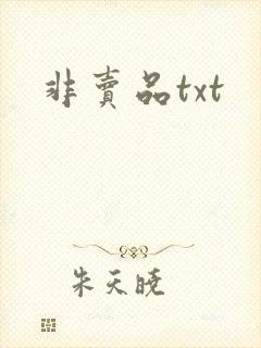 非卖品txt