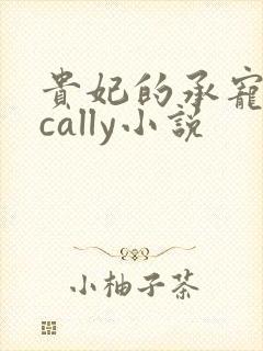 贵妃的承宠日常cally小说