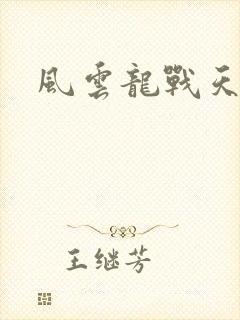 风云龙战天下