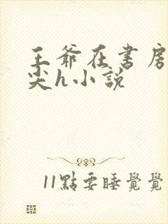 王爷在书房含乳尖h小说