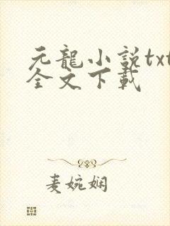 元龙小说txt全文下载