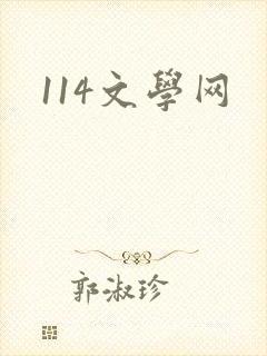 114文学网