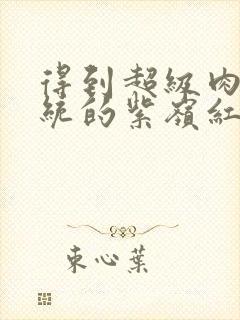 得到超级肉禽系统的紫岭红山