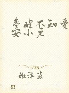 梦醒不知爱欢凉安小免