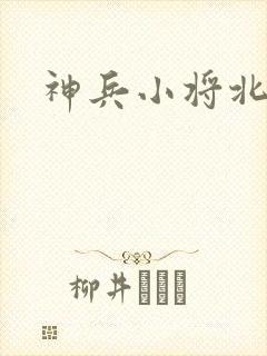 神兵小将北冥雪