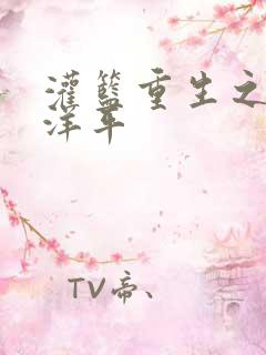 灌篮重生之水户洋平