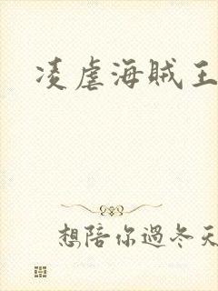 凌虐海贼王娜米