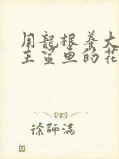 用龙根养大的公主鲨鱼的花