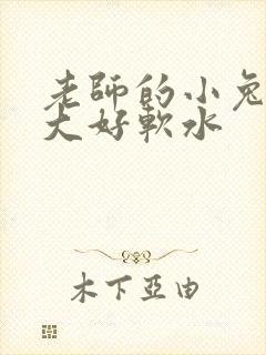 老师的小兔子好大好软水