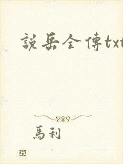 说岳全传txt