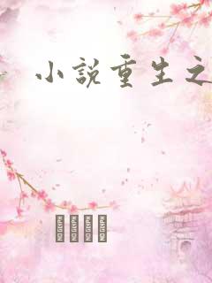 小说重生之官道