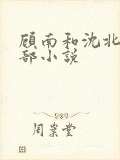 顾南和沈北是哪部小说