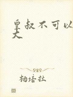 皇叔不可以 太大