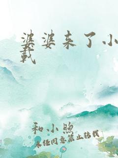 婆婆来了小说下载