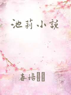 池莉小说