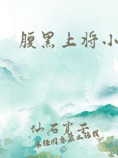 腹黑上将小小妻