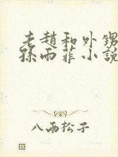 老赵和外甥媳妇孙雨菲小说