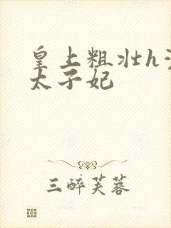 皇上粗壮h灌满太子妃