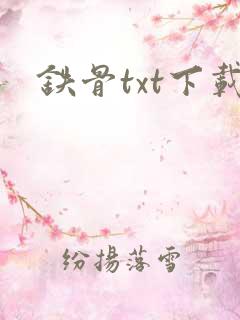 铁骨txt下载