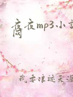 夜夜mp3小说网