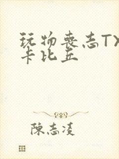 玩物丧志TXT卡比丘