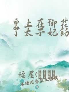 皇上在御花园c了太子妃的网剧