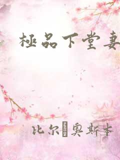 极品下堂妻