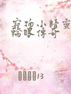 宠物小精灵之写轮眼传奇