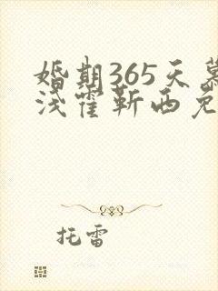 婚期365天慕浅霍靳西免费阅读