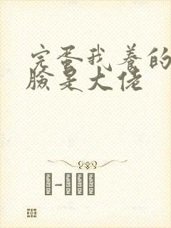 完蛋我养的小白脸是大佬