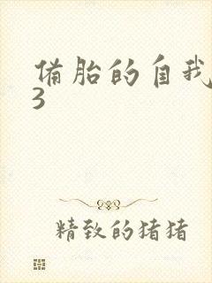 备胎的自我修养3