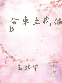 公车上我插上骚B