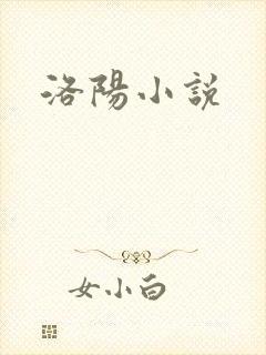洛阳小说