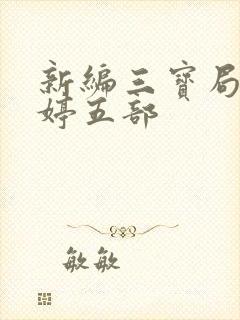 新编三宝局长许婷五部