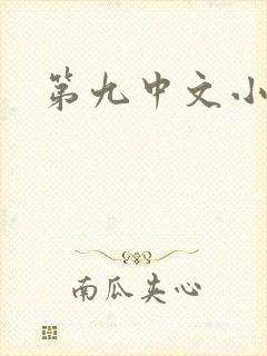 第九中文小说网