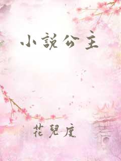 小说公主