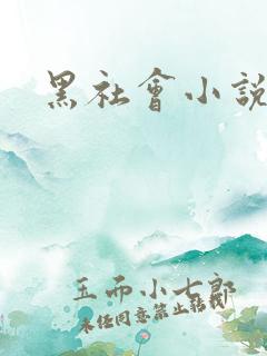 黑社会小说下载