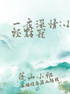 一夜深情:小叔轻点宠