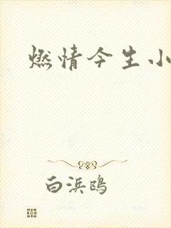 燃情今生小说