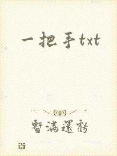 一把手txt