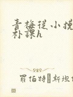 青梅从小摸到大补课h