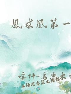 凤求凰第一皇后