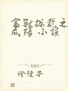 禽兽总裁之虐爱成殇 小说