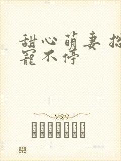 甜心萌妻 总裁宠不停