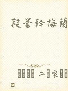 段誉干梅兰竹菊