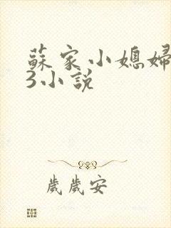 苏家小媳妇1V3小说