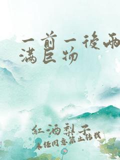 一前一后两根塞满巨物