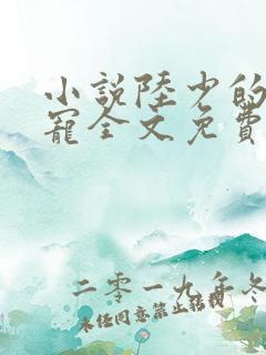 小说陆少的心尖宠全文免费阅读